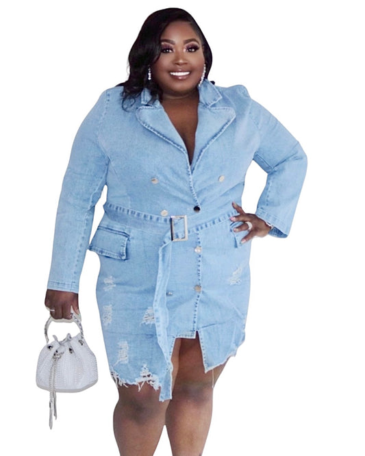 Denim Dynasty Dress Light