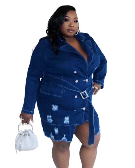 Denim Dynasty Dress Dark