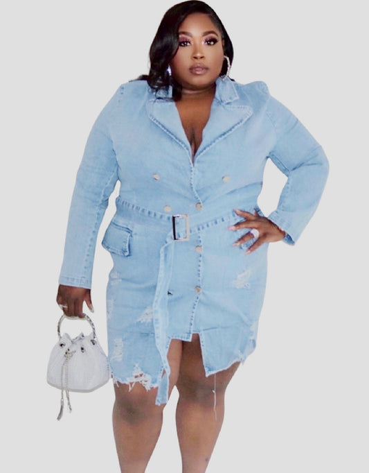Denim Dynasty Dress Light Plus